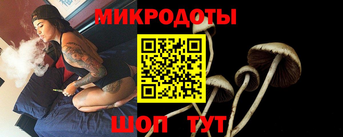 Гуково  Псилоцибиновые грибы Psilocybine cubensis  дарнет шоп  Вход с VPN 